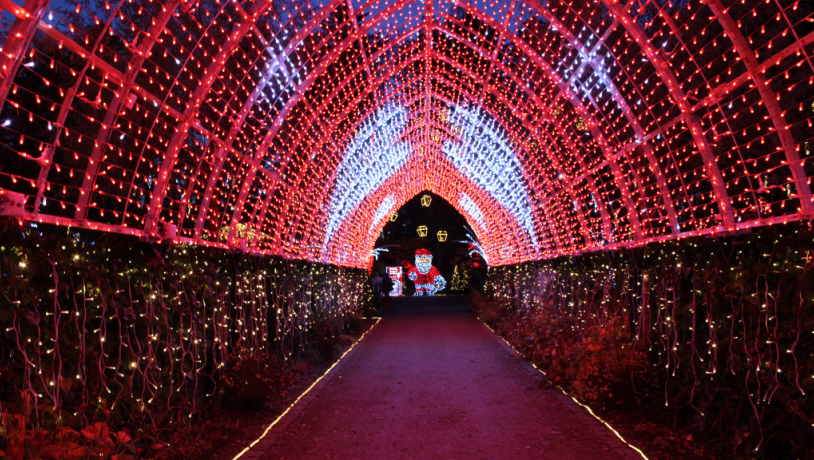 Lystunnel magisk jul