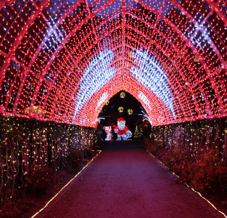 Lystunnel magisk jul